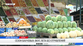 Сезон бахчевых: вкус лета без отравлений