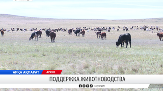 Поддержка животноводства
