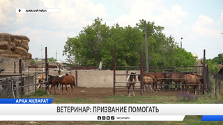 Ветеринар: призвание помогать