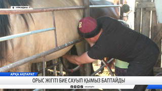 Орыс жігіті бие сауып қымыз баптайды 