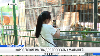 Королевские имена для полосатых малышей