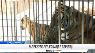 Марғауларға есімдер берілді