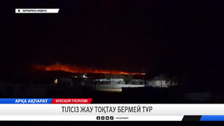 Тілсіз жау тоқтау бермей тұр