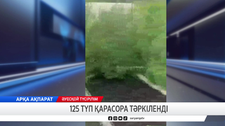 125 түп қарасора тәркіленді