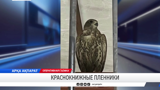 Краснокнижные пленники 