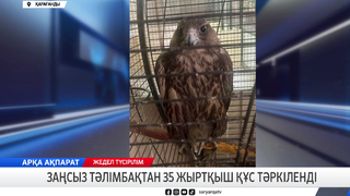 Заңсыз тәлімбақтан 35 жыртқыш құс тәркіленді 
