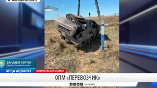 ОПМ «Перевозчик»