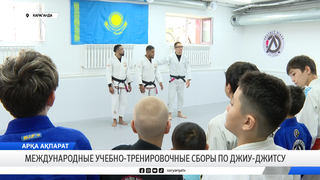 Международные учебно-тренировочные сборы по джиу-джитсу