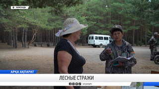 Лесные стражи