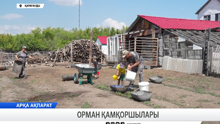 Орман қамқоршылары 