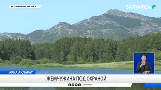 Жемчужина под охраной