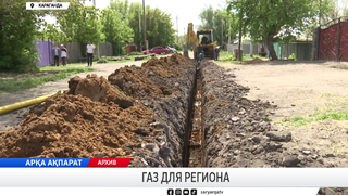 Газ для региона