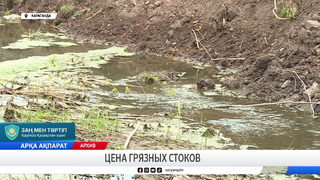 Цена грязных стоков