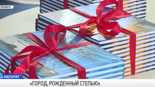 «Город, рожденный степью»