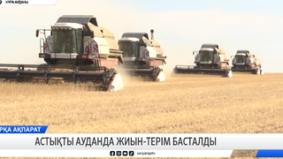 Астықты ауданда жиын-терім басталды
