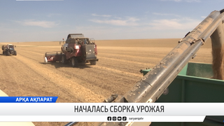 Началась сборка урожая