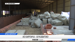 Из кирпича – в развитие!