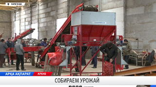 Собираем урожай
