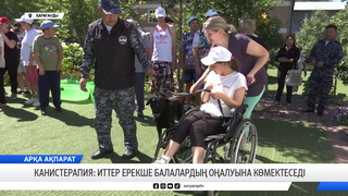 Канистерапия: иттер ерекше балалардың оңалуына көмектеседі 
