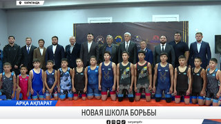 Новая школа борьбы