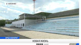 Новая жизнь