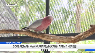 Зообақтағы жануарлардың саны артып келеді