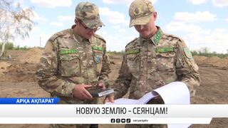 Новую землю – сеянцам!