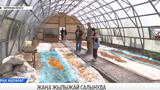 Жаңа жылыжай салынуда