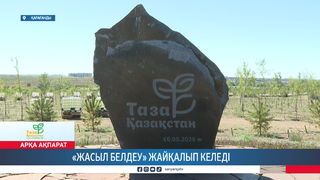 «Жасыл белдеу» жайқалып келеді 