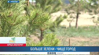 Больше зелени - чище город