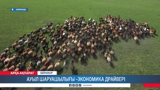 Ауыл шаруашылығы - экономика драйвері 