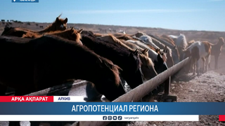 Агропотенциал региона