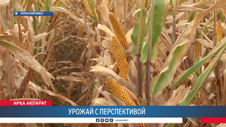Урожай с перспективой