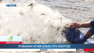 70 мыңнан астам шабақ суға жіберілді