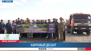 Карповый десант