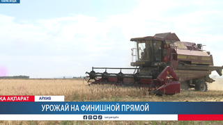 Урожай на финишной прямой
