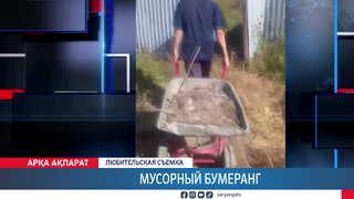 Мусорный бумеранг 