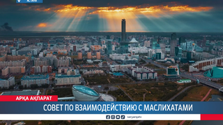 Совет по взаимодействию с маслихатами