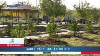 Қала көркіне – жаңа көшеттер