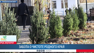Забота о чистоте родного края