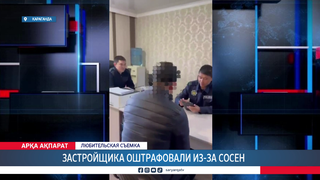 Застройщика оштрафовали из-за сосен