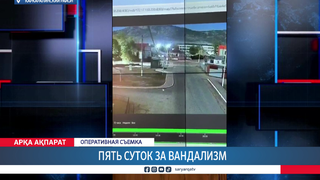 Пять суток за вандализм