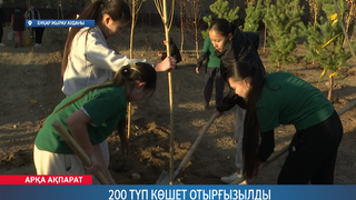 200 түп көшет отырғызылды