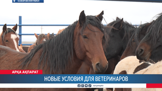 Новые условия для ветеринаров