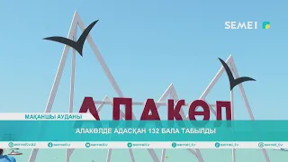 Алакөлде адасқан 132 бала табылды                                    