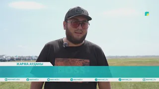 ЖАРМА ТӨРІНДЕГІ ЖҮЙРІКТЕР ЖАРЫСЫ