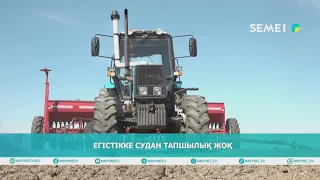 ЕГІСТІККЕ СУДАН ТАПШЫЛЫҚ ЖОҚ
