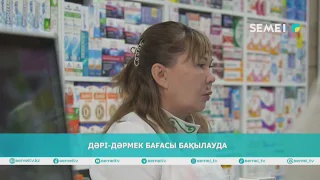 ДӘРІ ДӘРМЕК БАҒАСЫ БАҚЫЛАУДА