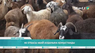 46 отбасы Абай ауданына қоныстанды 