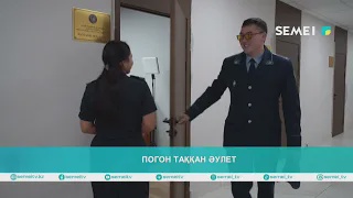 Погон таққан әулет